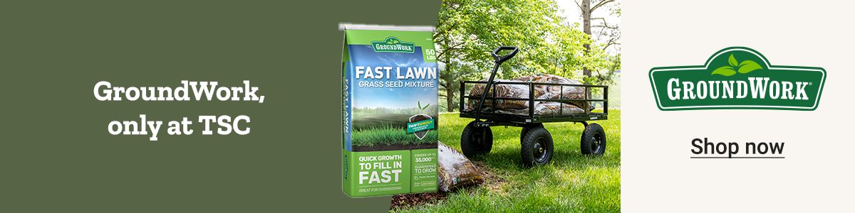 GroundWork, only at TSC