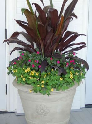 Create a Beautiful Shade Container Garden | Gardening | Tractor Supply Co.