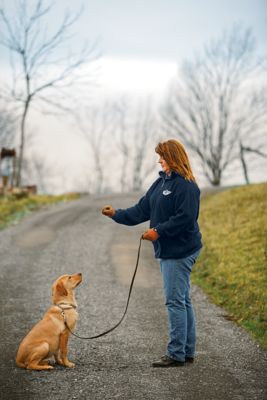 She put more on the line than risking a nip from the 45 pound dog. She 