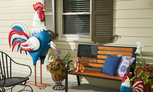 Patriotic Chicken