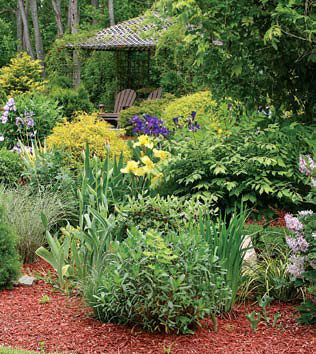 How to Landscape Using Native Plants | Gardening | Tractor Supply Co.