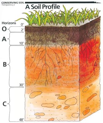 Nurturing the Soil | Fall 2013 Out Here Magazine | Tractor Supply Co.