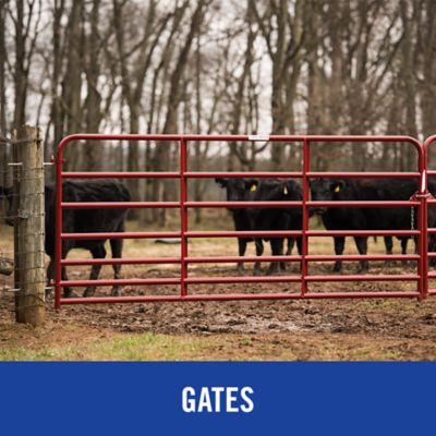 Tarter Tractor Supply Co.